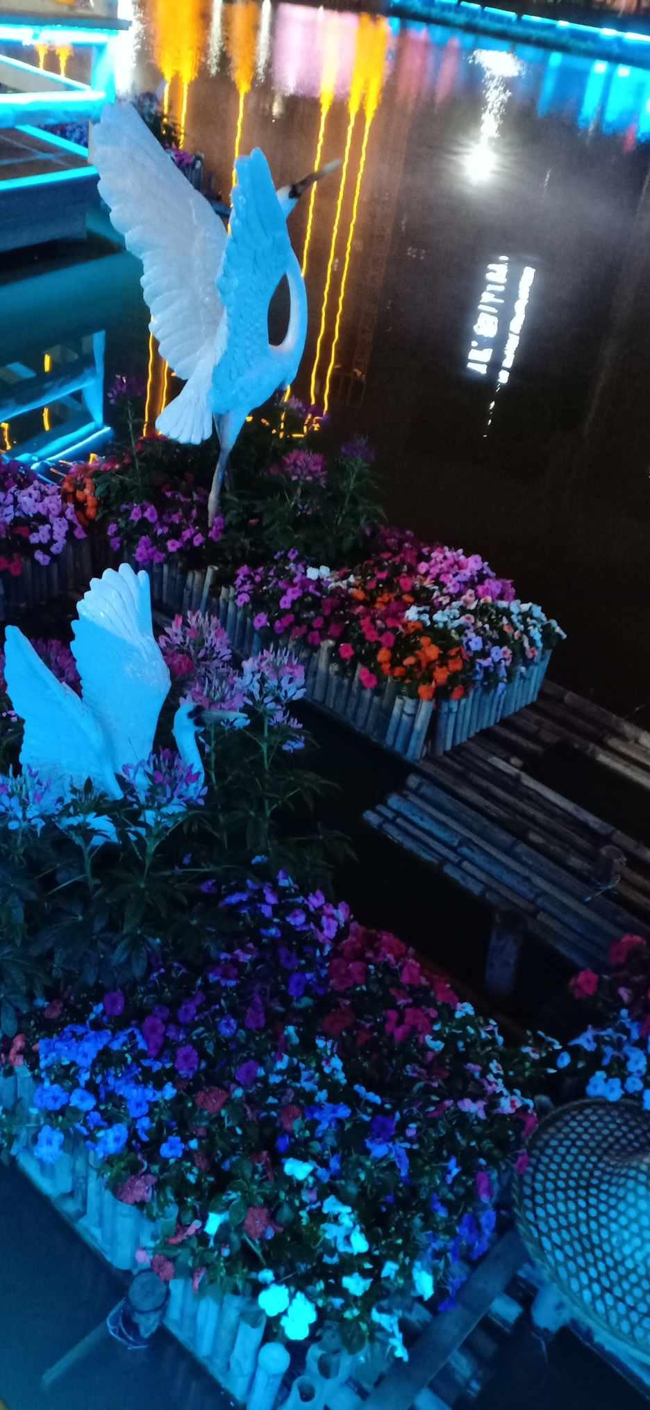 “跳水皇后”郭晶晶为国争光，夺得数枚金牌，她在退役后每个月能领多少钱？游戏画面